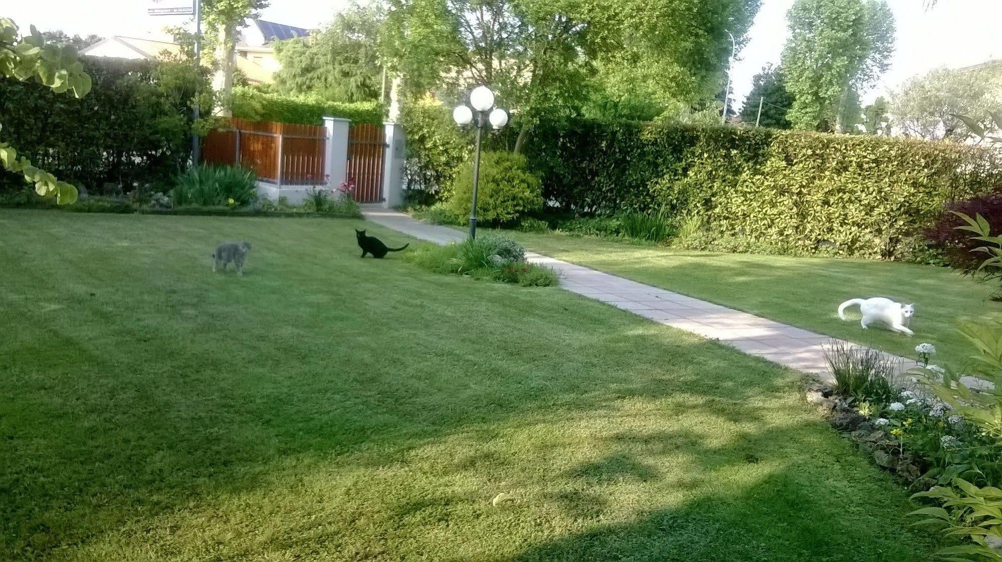 B&B Le Tre Grazie San Martino di Lupari Kültér fotó